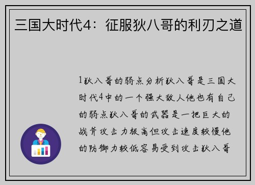 三国大时代4：征服狄八哥的利刃之道